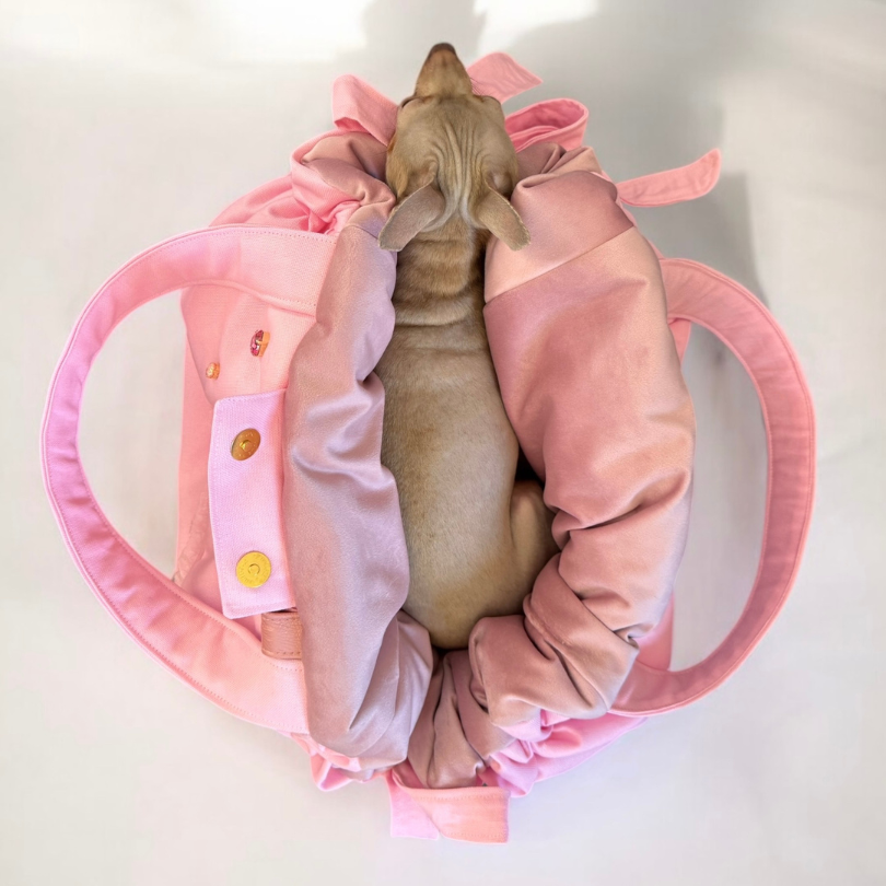 sac chihuahua été rose