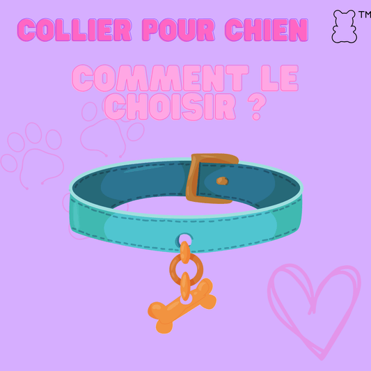 Collier pour chien : Comment le choisir ? - melissafendrichcreations