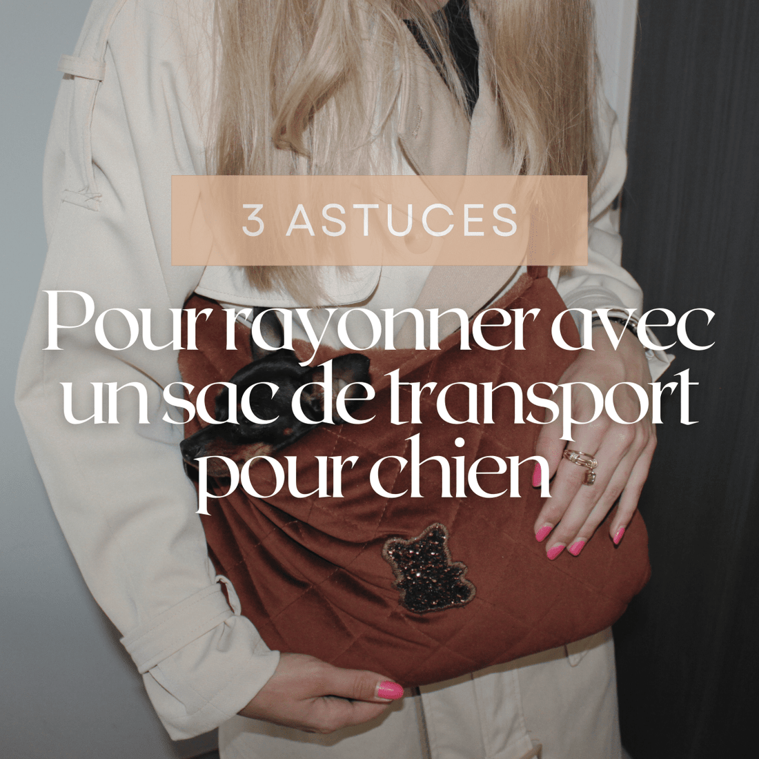 Comment avoir du style avec son sac de transport pour chien ? - melissafendrichcreations