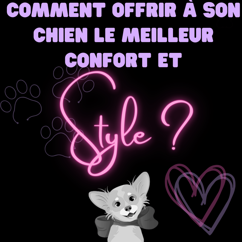 Des articles de luxe faits main pour chien : Comment offrir à votre chien le meilleur du confort et du style ? - melissafendrichcreations