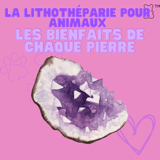 La lithotherapie pour les animaux : les bienfaits de chaque pierre - melissafendrichcreations