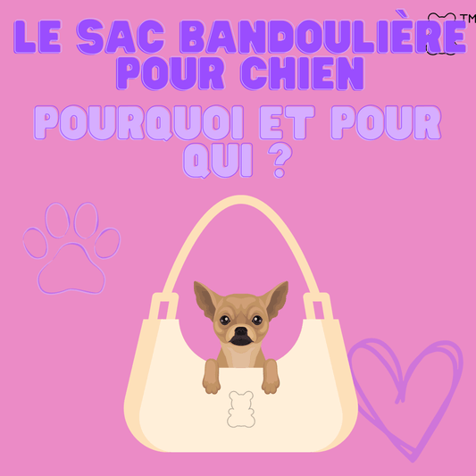 Le sac bandoulière pour chien : pourquoi ? pour qui ? - melissafendrichcreations