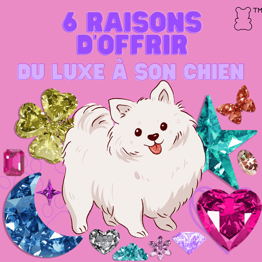 Pourquoi offrir du luxe à son chien ? 6 bonnes raisons de le faire. - melissafendrichcreations