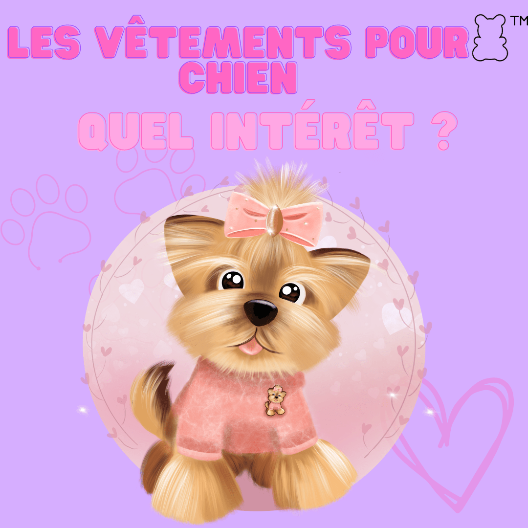 Vêtements pour chien : quel intérêt ? - melissafendrichcreations