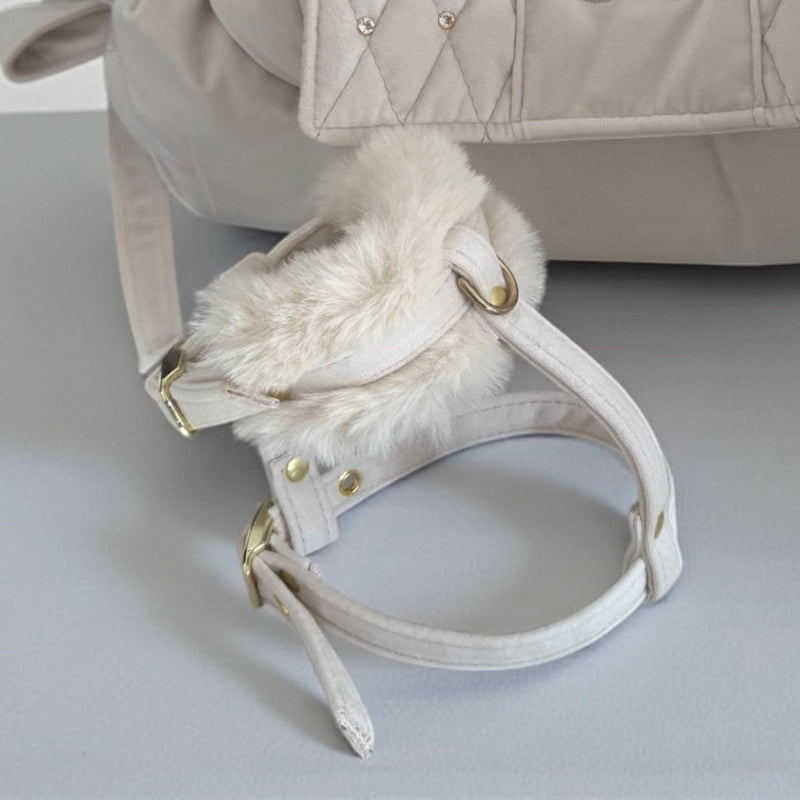 Harnais chihuahua luxe