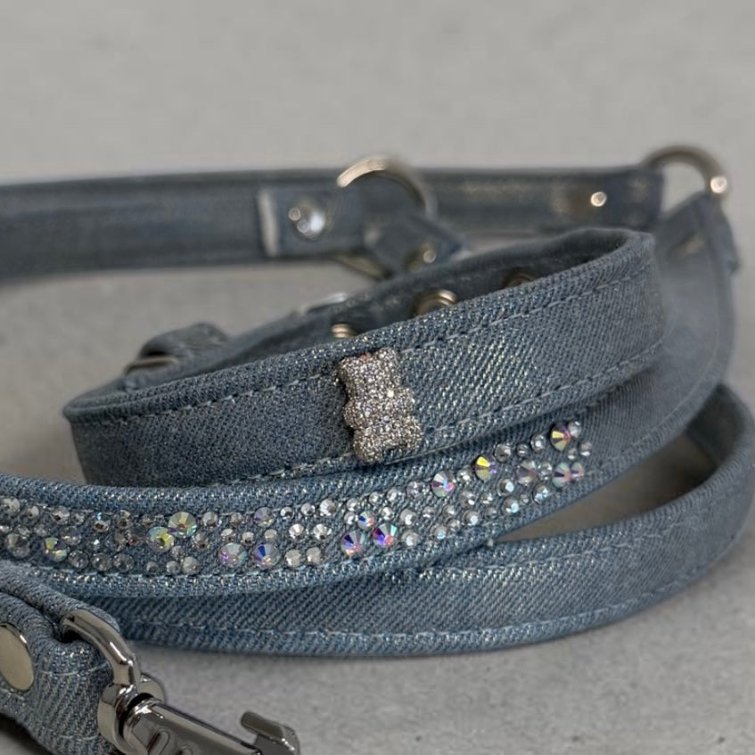 laisse chihuahua strass