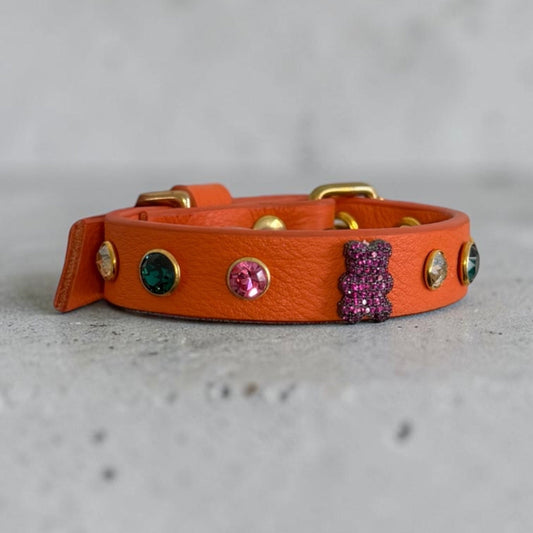 collier chihuahua en cuir