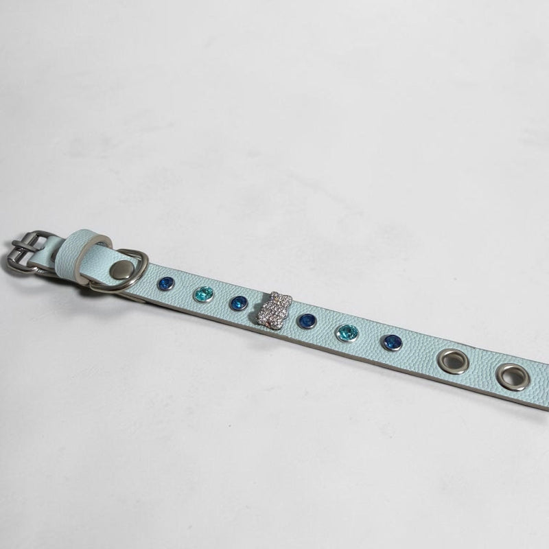 collier chihuahua en cuir