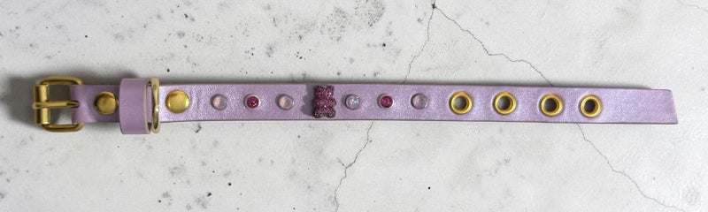 collier chihuahua en cuir
