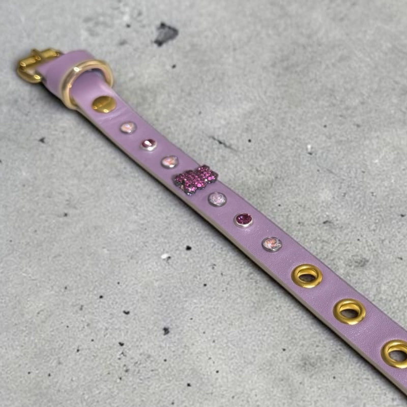 collier chihuahua en cuir