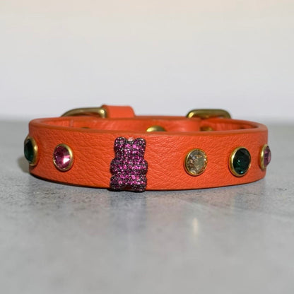 collier chihuahua en cuir